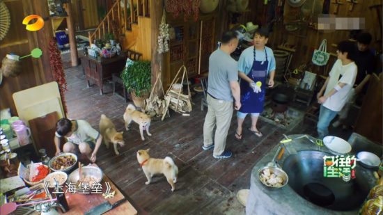 下一期嘉賓名氣太小無人識，但卻是黃磊心目中《憧憬的生活》 娛樂 第7張