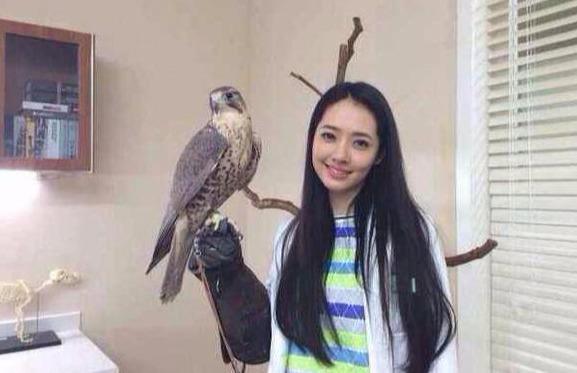 郭碧婷說自己房子是動物園一點都不誇張，5隻貓6隻狗太壯觀了 娛樂 第2張