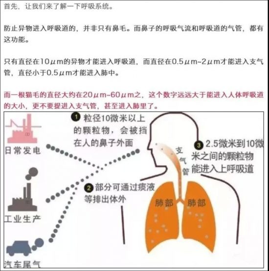 懷孕了不能養貓？應采兒在節目中稱貓毛會影響小孩，被狂噴沒常識 娛樂 第5張