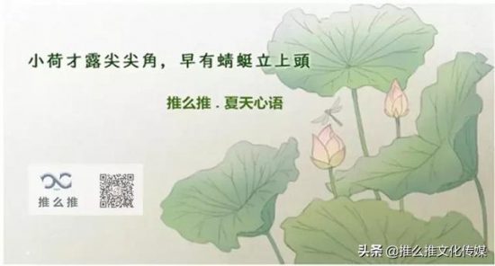 花木蘭片花首發，劉亦菲憑什麼拿下頂級IP？ 娛樂 第9張