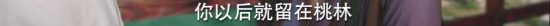 從豆瓣4.7到7.2，都給我來品品張震的「鐵樹開花」！ 娛樂 第20張