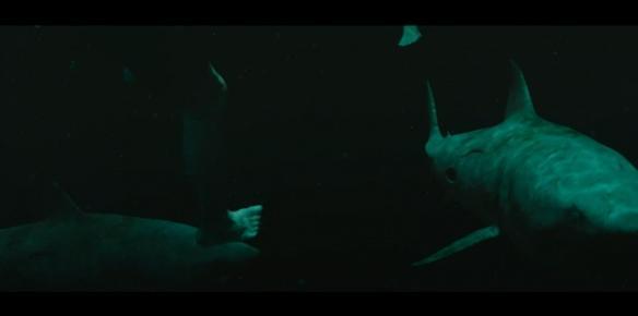 史泰龍閨女螢幕處女作《鯊海47：猛鯊出籠》正式預告 娛樂 第9張