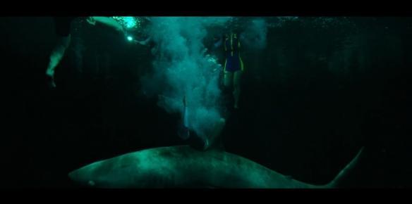史泰龍閨女螢幕處女作《鯊海47：猛鯊出籠》正式預告 娛樂 第10張