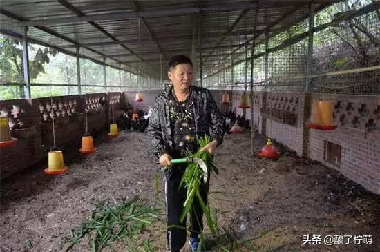 他被張國立捧紅，帶女模特妻子回山中養雞，今被傳言身價上億 娛樂 第5張