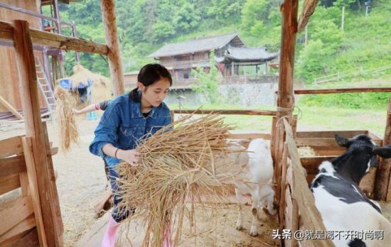 曾經被吐槽穿錯大人衣服，如今的「小山口百惠」張子楓超美 娛樂 第4張