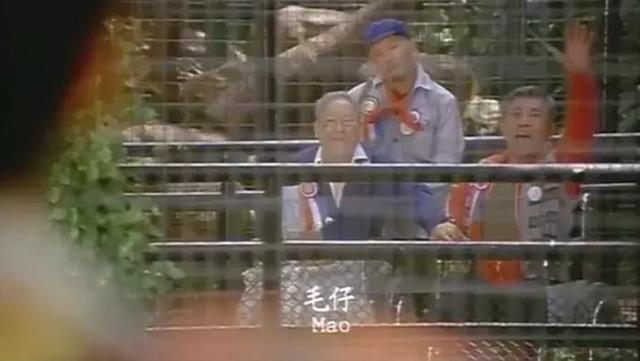 黃家駒遺作 | 一群老戲骨，拍出了香港繁榮背後地獄般的生活真相 娛樂 第19張