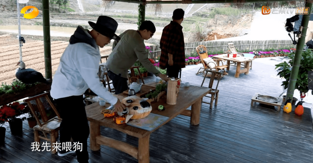 也只有這檔綜藝，能讓男女神們集體翻車