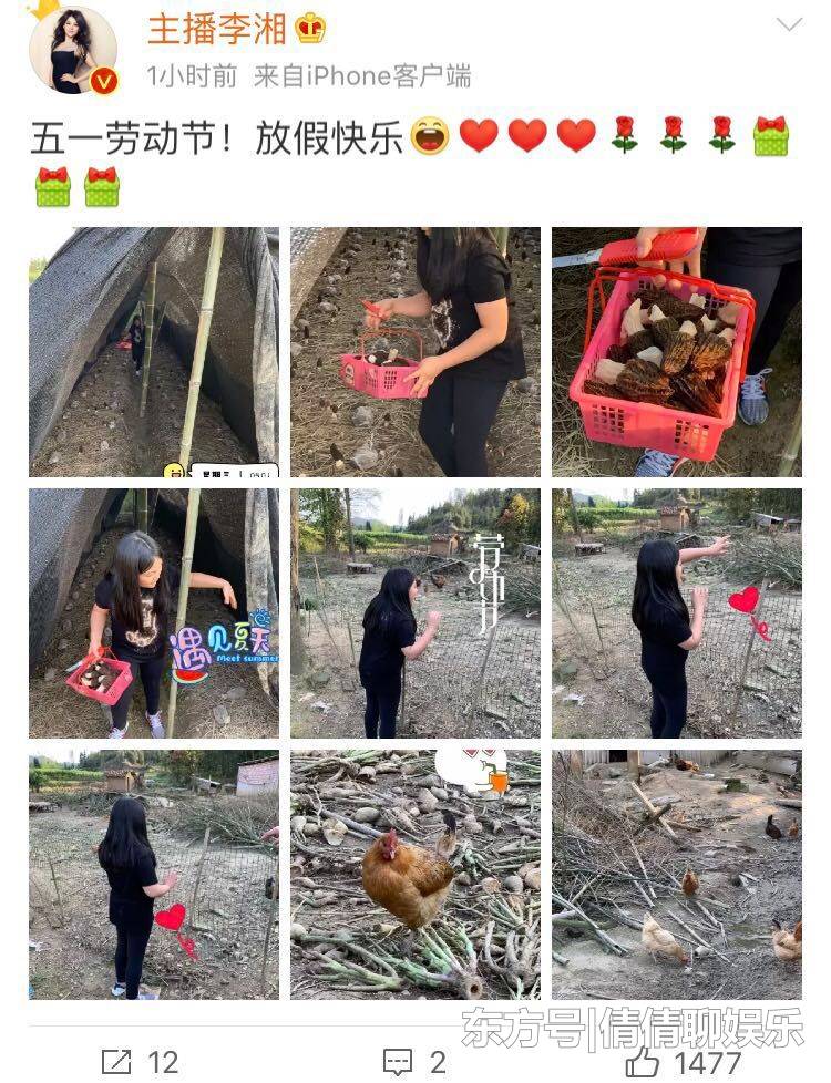 李湘帶女兒到農村勞作，王詩齡歡暢地與雞玩耍，母女倆收成滿滿！ 娛樂 第11張