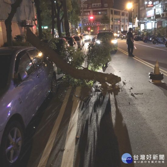 路樹斷裂壓車橫路中　員警揮汗搬斷樹 台灣好新聞 第1張