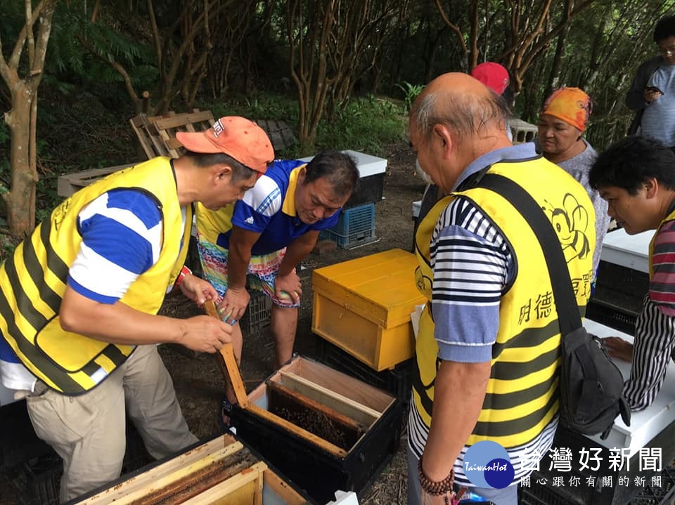 頭屋鄉明德社區推養蜂　創造優質環境 台灣好新聞 第1張