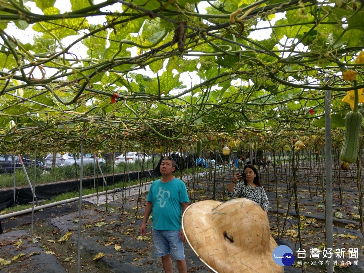 嘉縣農損嚴重　翁章梁：全力協助受災農民 台灣好新聞 第1張