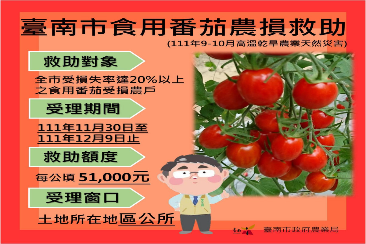 南市食用番茄災損現金救助　受理期限至12/9止 台灣好新聞 第1張