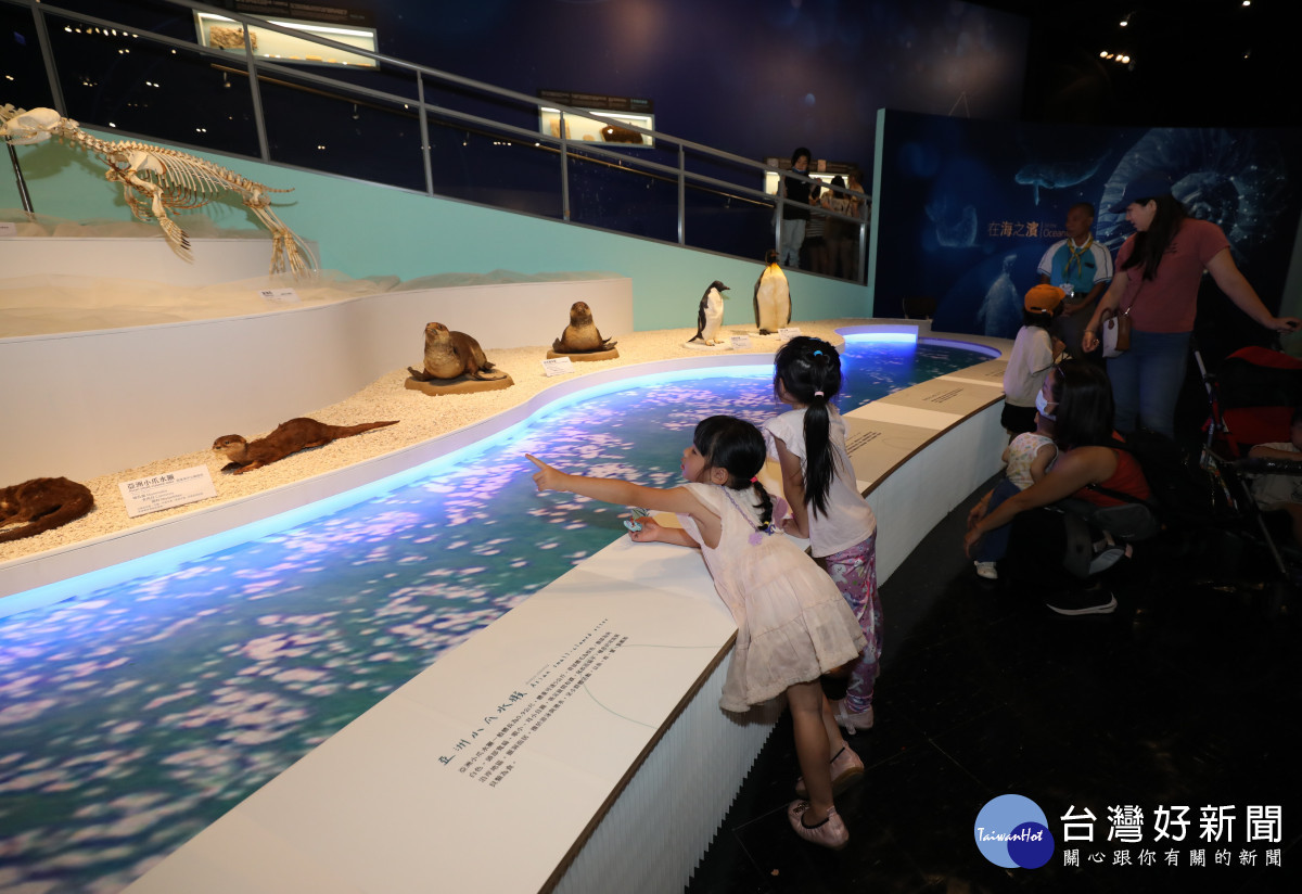 放暑假囉！　科博館推《在海之濱》特展　一窺5億年前古生物奇幻世界 台灣好新聞 第1張