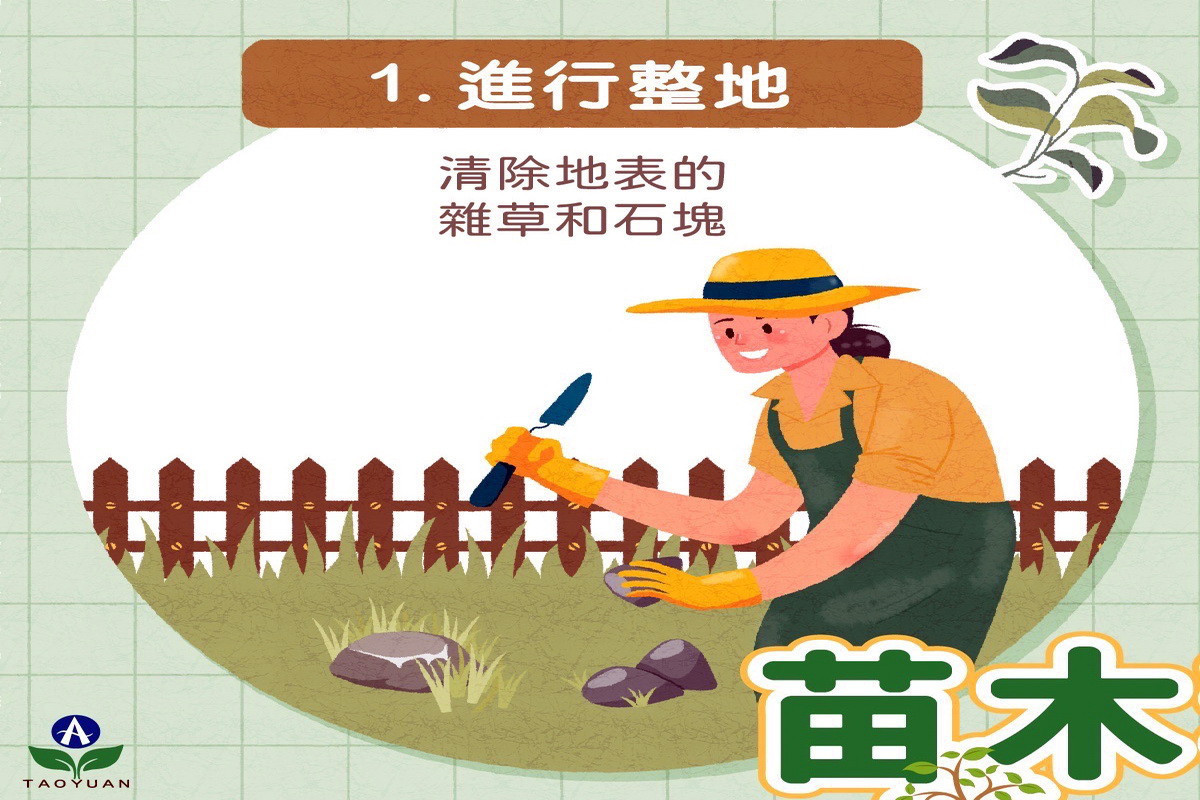 「穀雨」到了　 桃市府農業局教你種樹小技巧 台灣好新聞 第1張