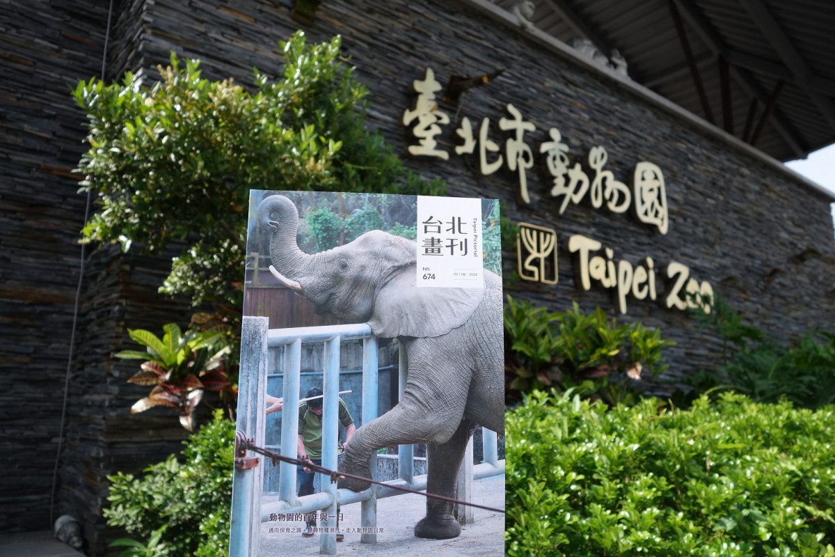 《台北畫刊》夏遊精彩台北　觀傳局邀民眾一探動物園的百年與一日 台灣好新聞 第1張