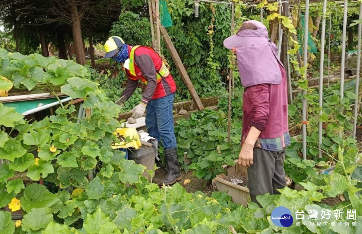 中市北區新增登革熱NS1快篩陽性個案　衛生局籲加強孳生源清除 台灣好新聞 第1張