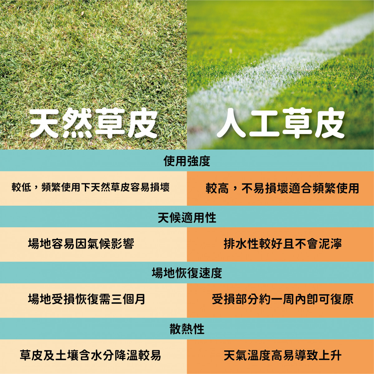 亞太國際棒球訓練中心主球場突改人工草皮掀爭議　南市體育局說分明 台灣好新聞 第1張