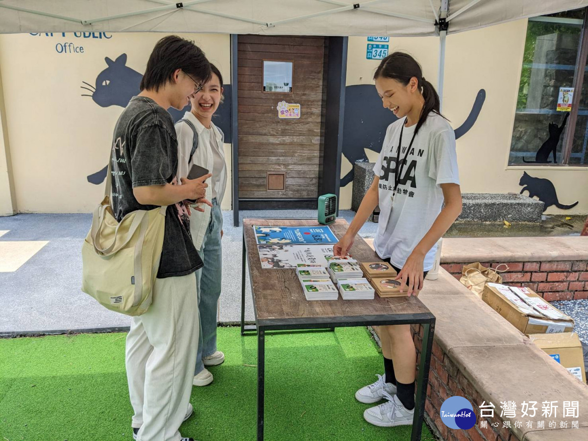 八月八日國際貓咪日　新北猴硐貓公所發行愛貓公民證 台灣好新聞 第1張