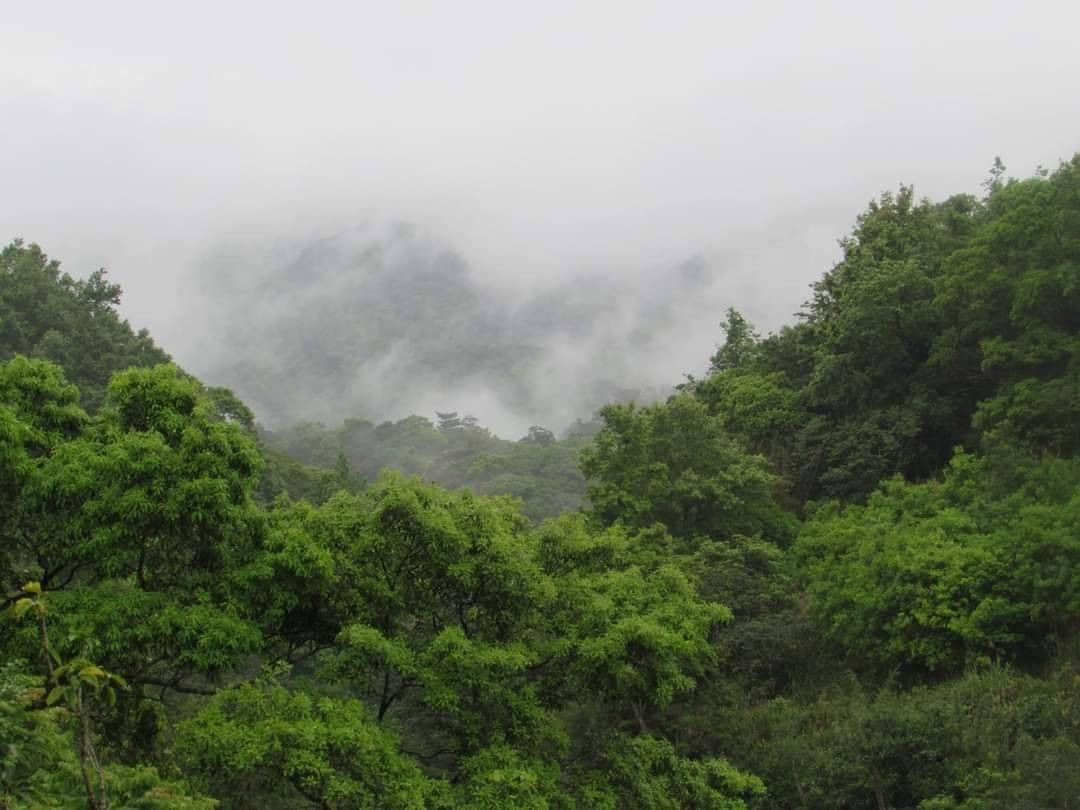 本週水氣多易降雨　關島熱帶擾動醞釀中 台灣好新聞 第1張