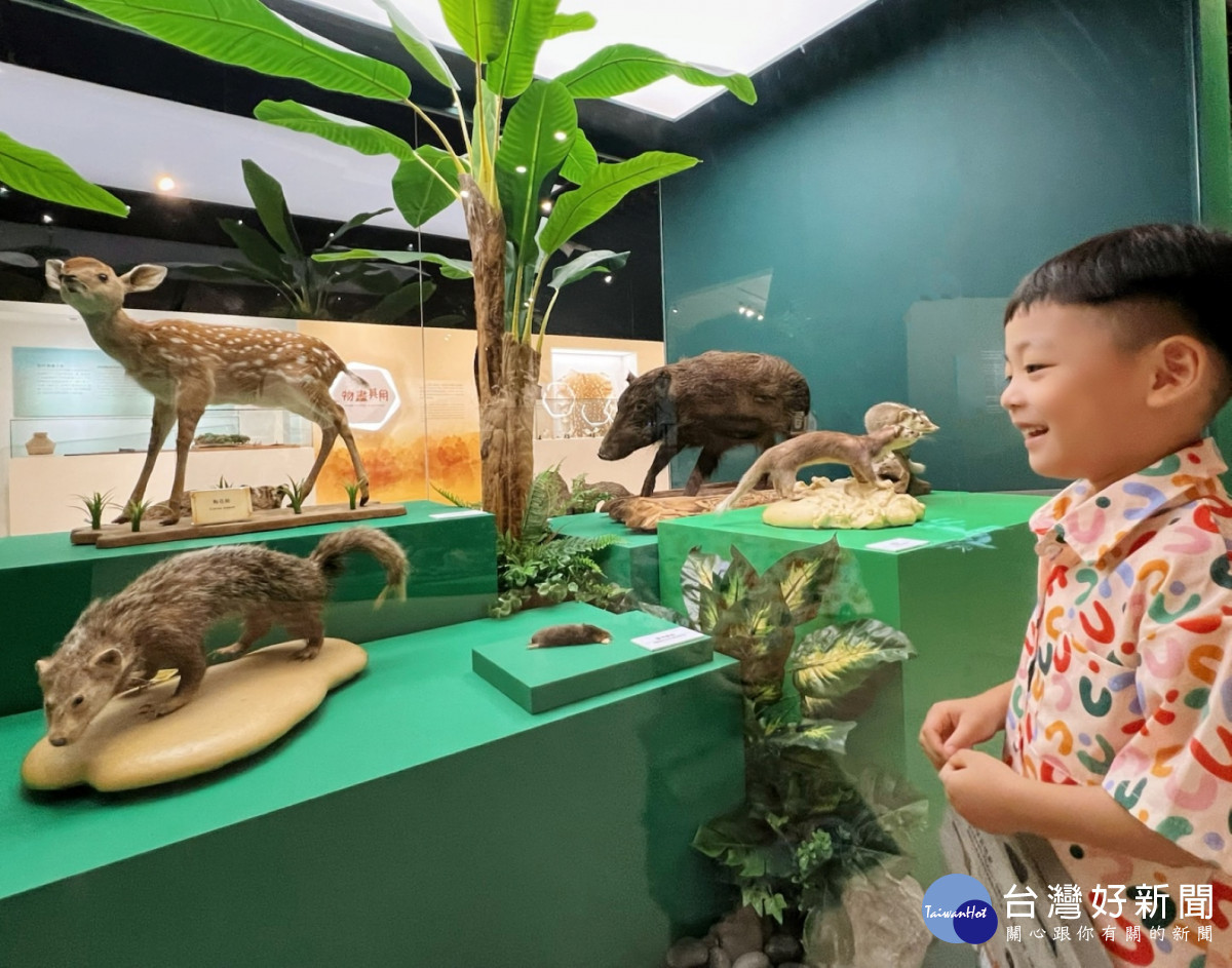 十三行博物館「世界動物日」　聚焦保育議題用文蛤打造史前時尚 台灣好新聞 第1張