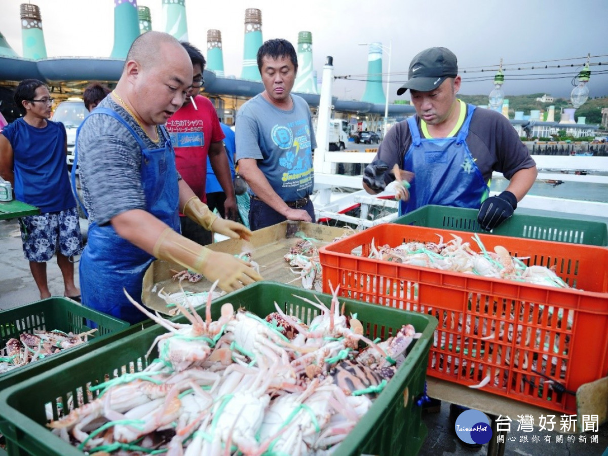 北海岸風箏節登場　富基魚市品蟹消費滿額送好禮 台灣好新聞 第1張