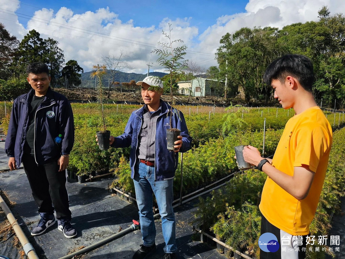 育苗幕後功臣　身懷絕技的苗圃監工 台灣好新聞 第1張