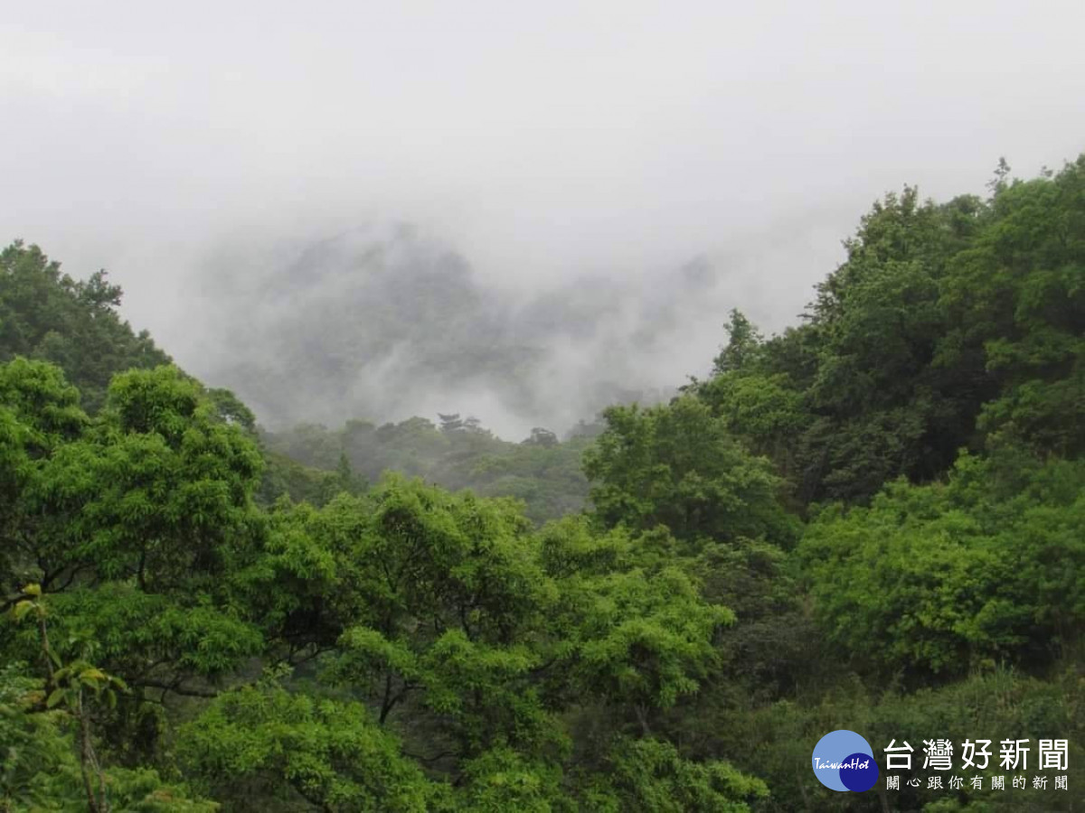 迎風面局部短暫雨　東北部山區雨勢大 台灣好新聞 第1張