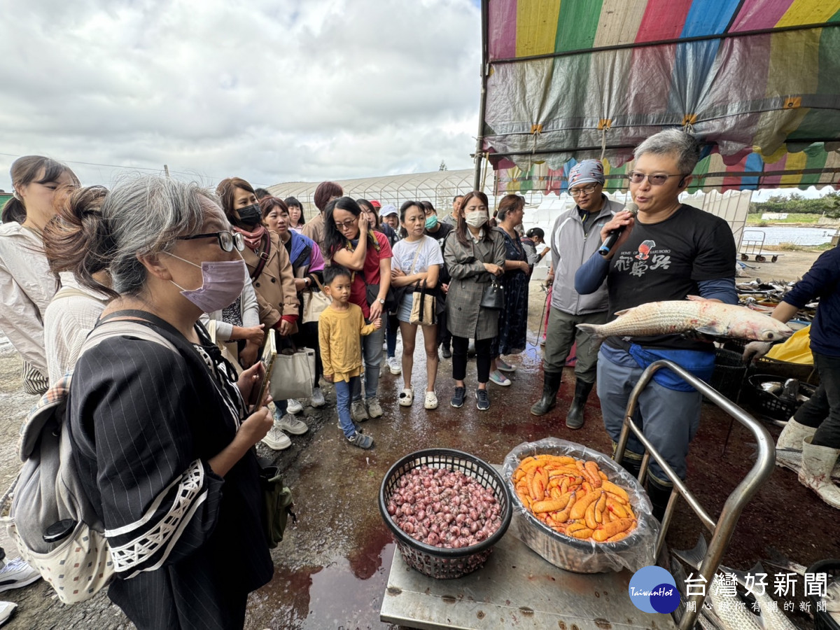 竹市推食魚教育課程　九降風烏魚子製作過程大解密 台灣好新聞 第1張