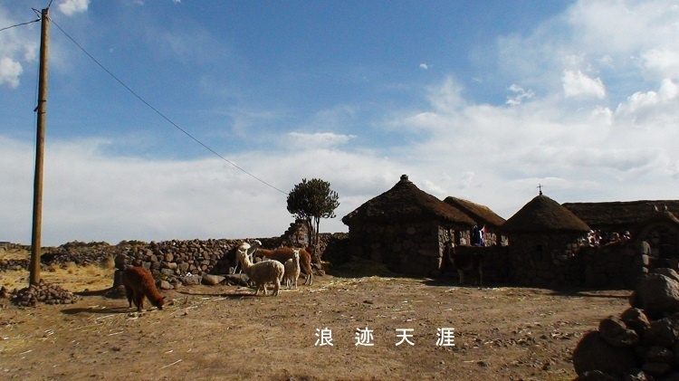 4千米秘魯高原之行 勞命傷財無遺憾 旅遊 第31張