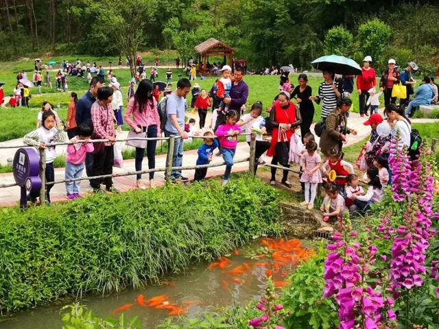 花海景如畫，美食襲味蕾！五一假期第二天，英山四季花海遊客接待量再創新高 旅遊 第3張