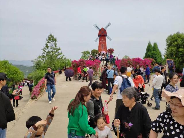 花海景如畫，美食襲味蕾！五一假期第二天，英山四季花海遊客接待量再創新高 旅遊 第2張