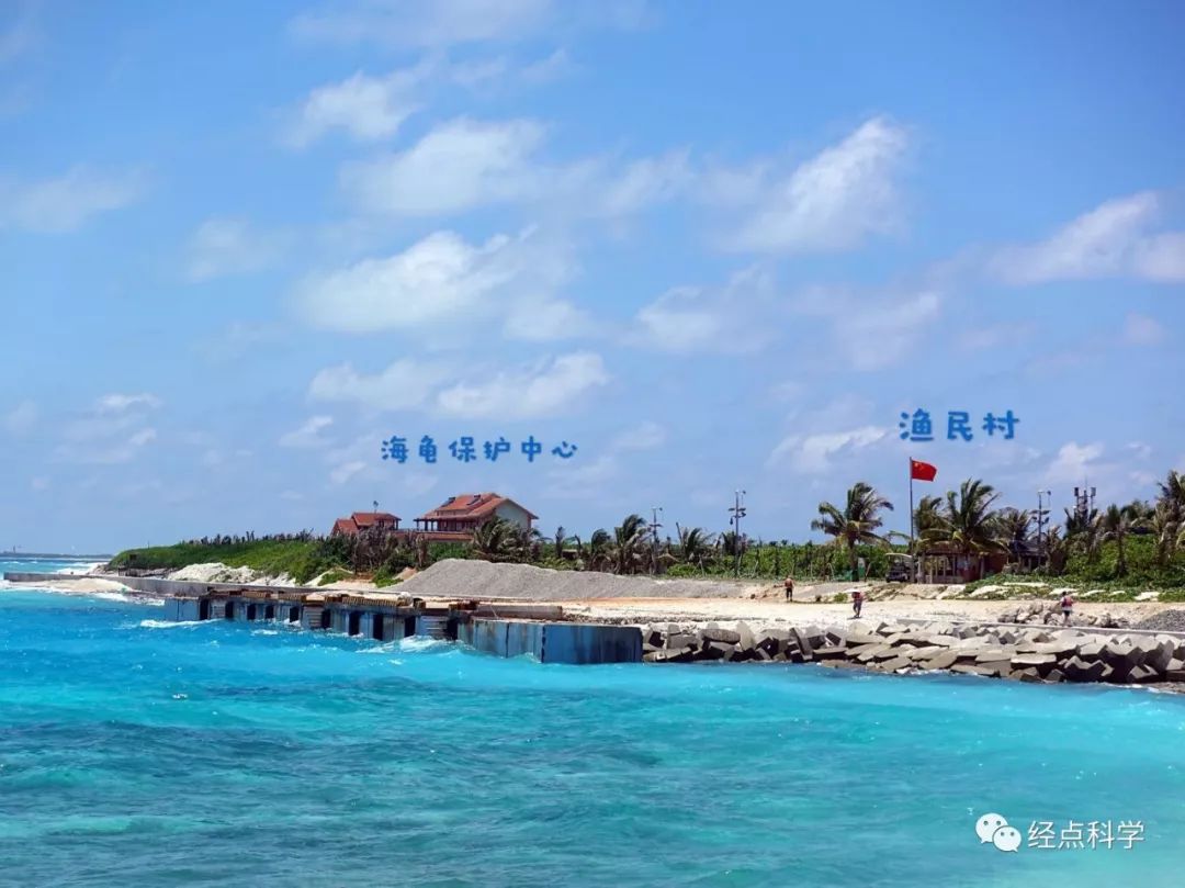 尋訪「海龜天堂」：中國最大的海龜產床什麼樣？ 旅遊 第2張