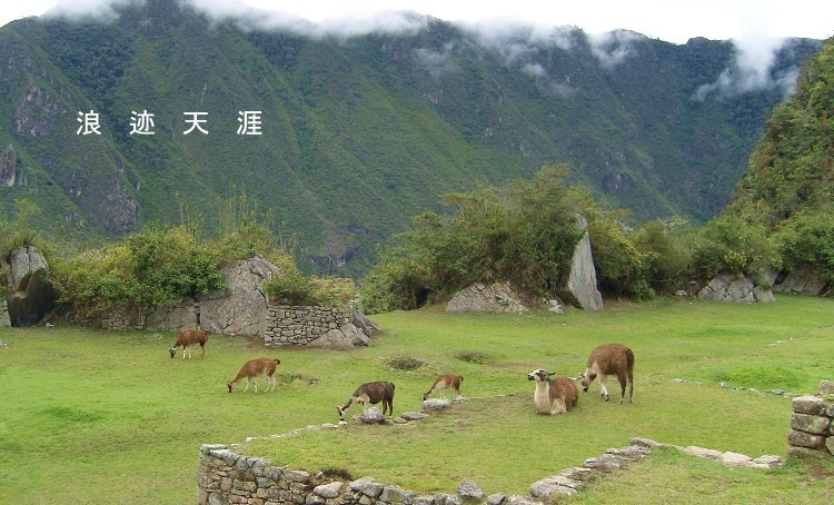 4千米秘魯高原之行 勞命傷財無遺憾 旅遊 第16張