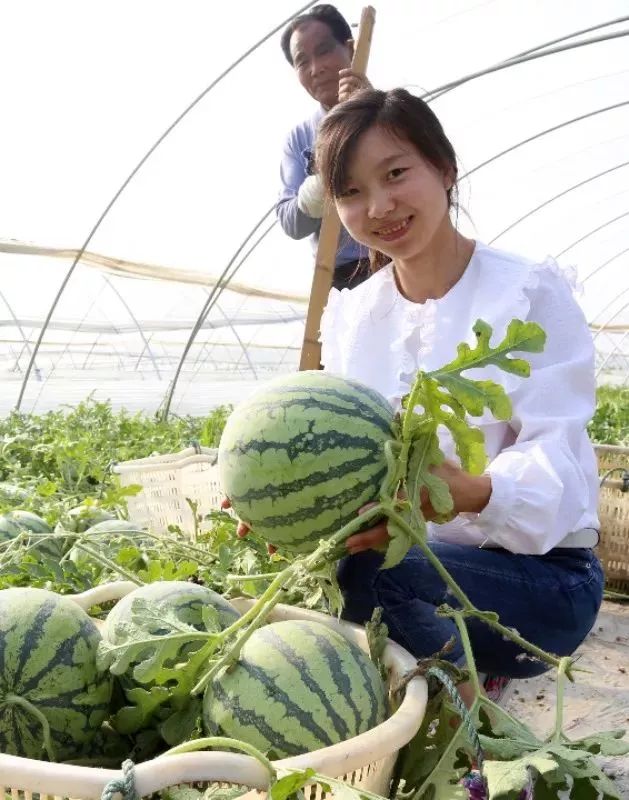 夏集回眸！這裡真的讓你留戀！ 旅遊 第14張