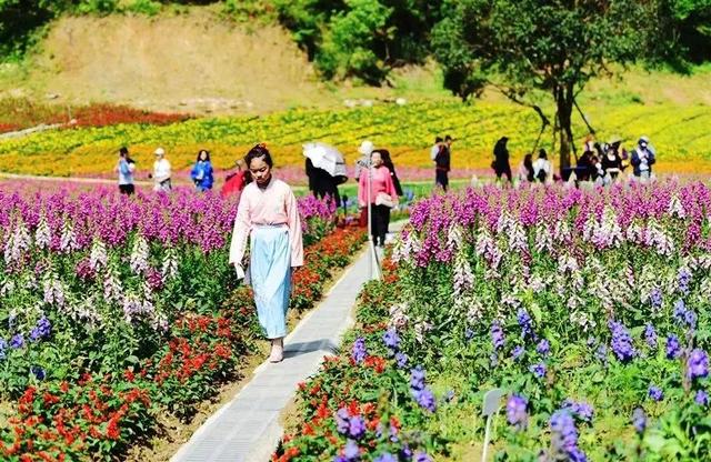 花海景如畫，美食襲味蕾！五一假期第二天，英山四季花海遊客接待量再創新高 旅遊 第7張