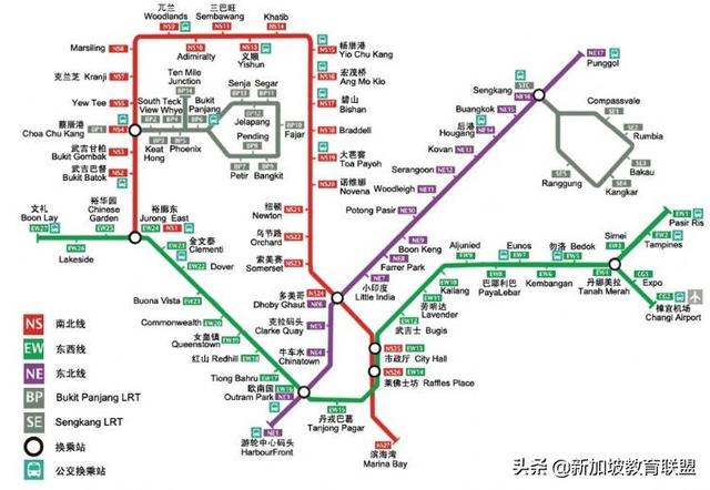 出國留學，新加坡為何能成為留學生的熱門選擇？ 留學 第1張