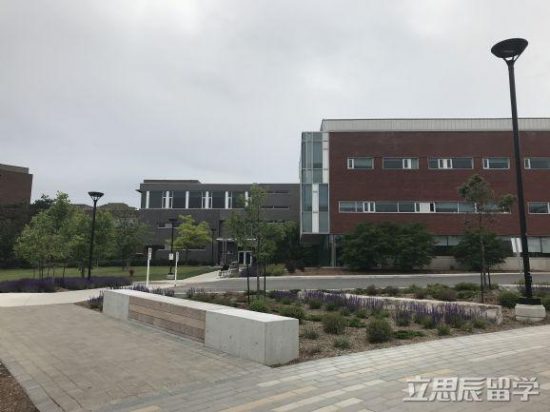 這些加拿大綜合類大學，也許更適合要留學的你 留學 第1張