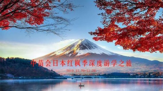 2019中苗會日本紅楓季深度遊學之旅邀你同行 留學 第1張