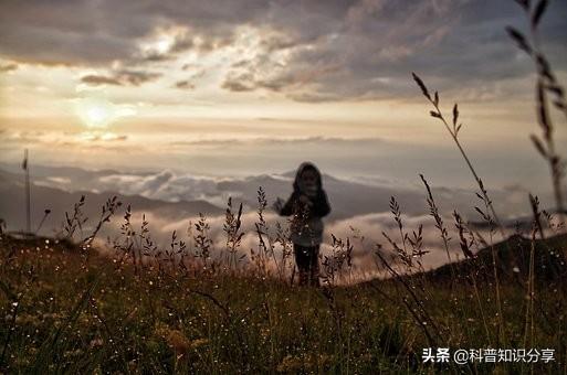 高考後留學日本，這幾大院校申請條件了解一下 留學 第1張