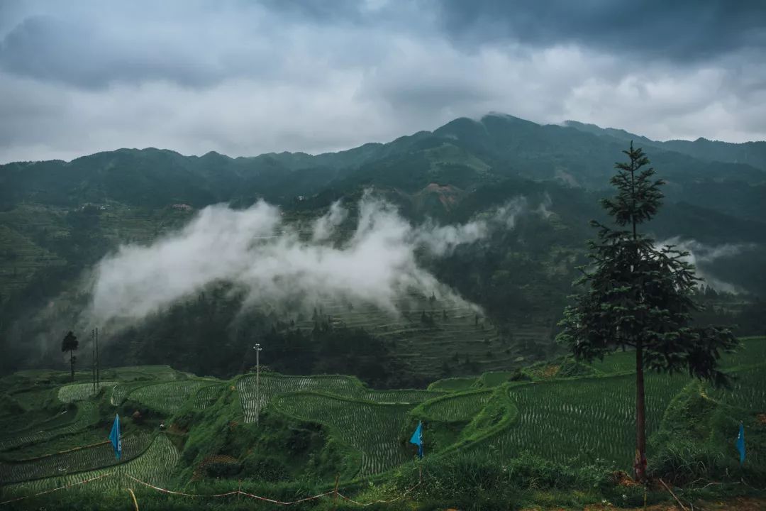 三星分享村落丨向往，這一處詩意的遠方 旅遊 第1張