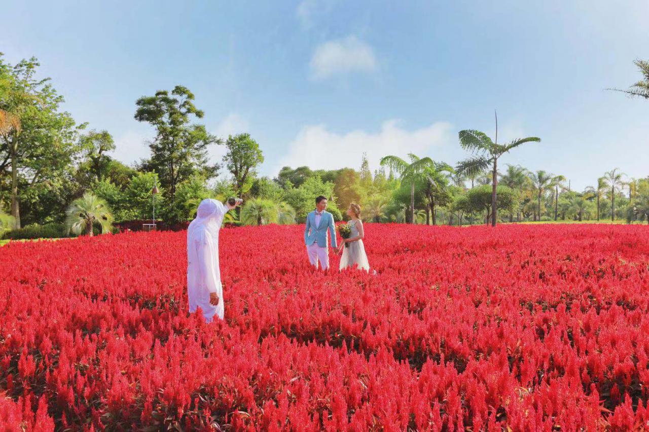 八月未央去遠方，撫仙湖畔的愜意兩日 旅遊 第1張