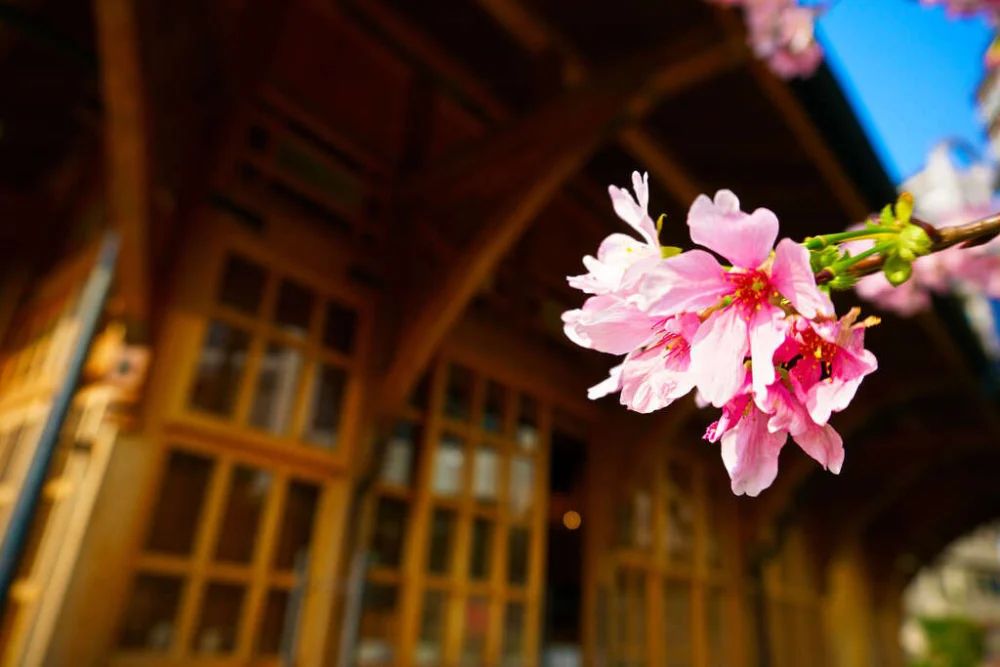 普發1萬超值玩台北！　北投泡湯享優惠