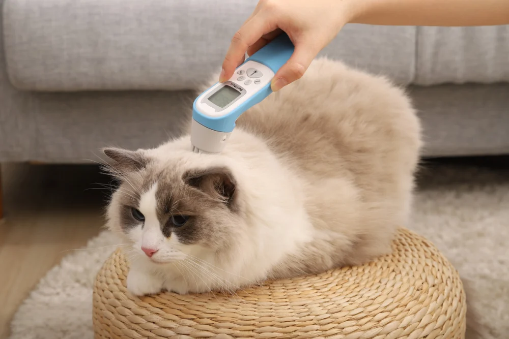 寵物智能體溫按摩梳。