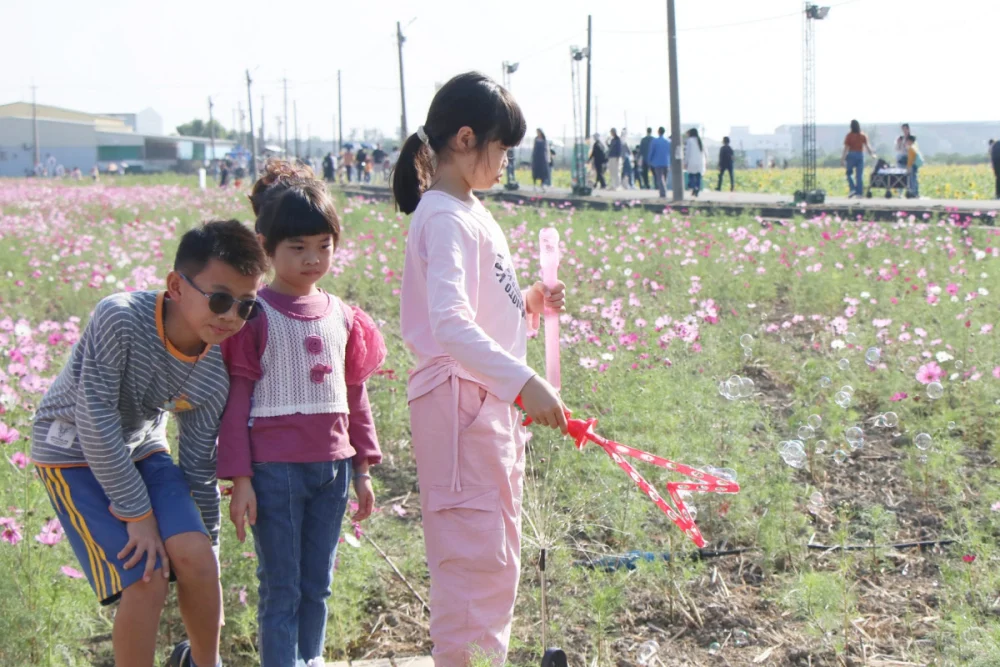 《2025 嘉義花海生活節》今(29)、明(30)二日在玉山路底盛大登場／嘉義市府提供