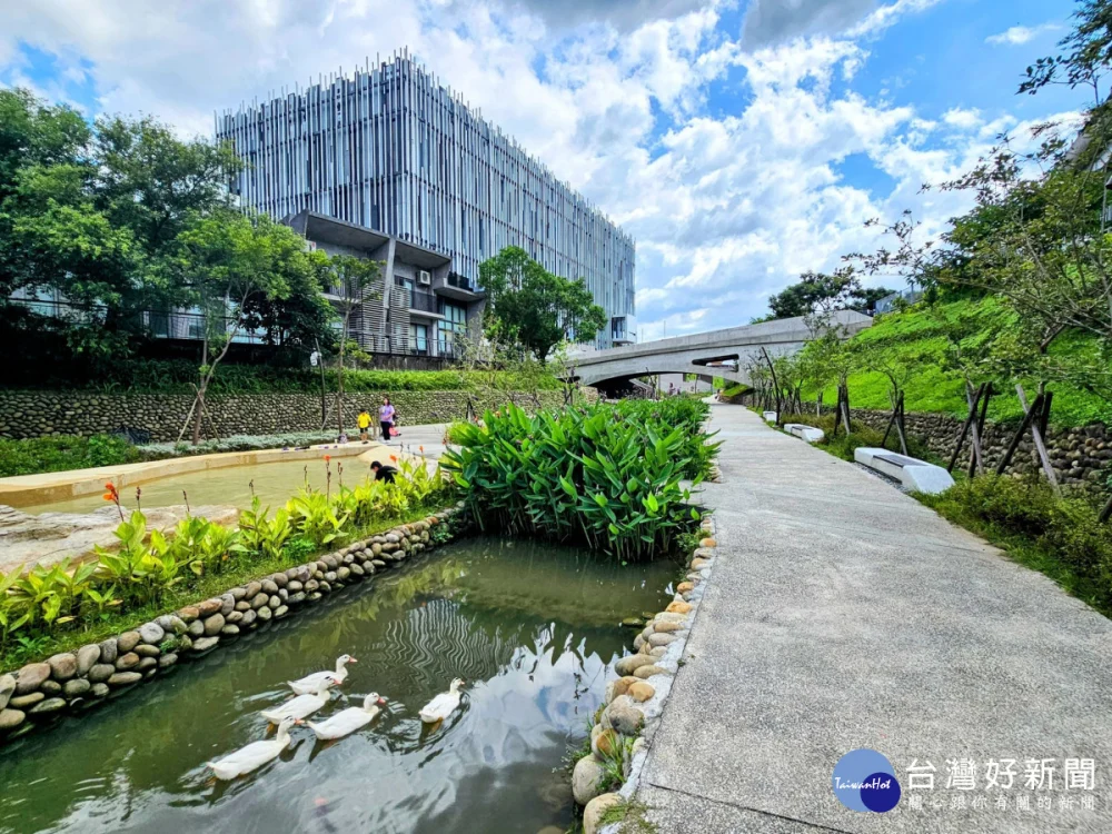 鶯歌礫間日供800噸淨化水　美術館水道迎來可愛鴨群