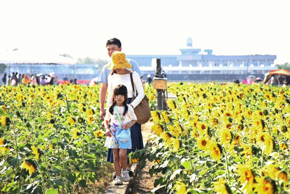 《2025 嘉義花海生活節》今(29)、明(30)二日在玉山路底盛大登場／嘉義市府提供
