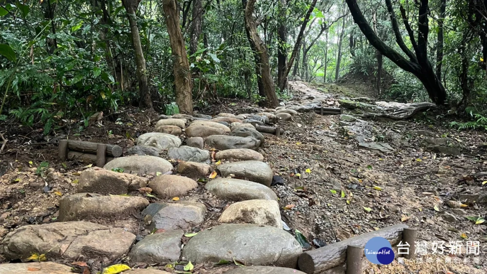 新北小百岳輕鬆攻頂 大棟山系限定賞芒尋寶