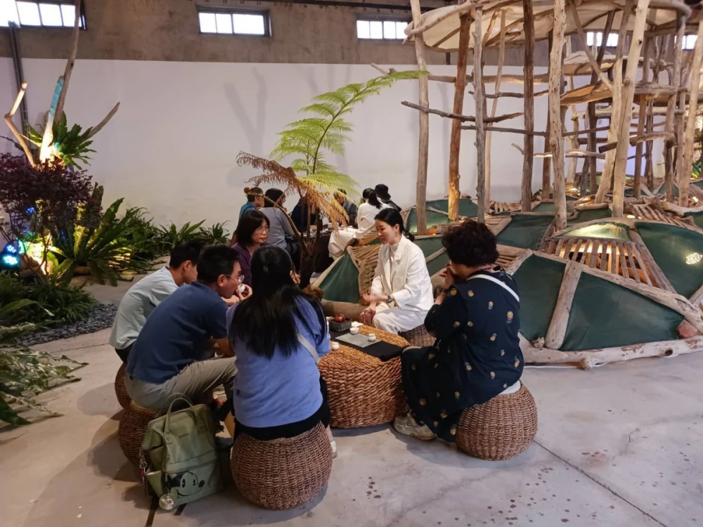 「2025高山茶都．嘉義」以山林為背景、茶文化為核心，帶領民眾走進嘉義的山林世界／嘉義縣府提供