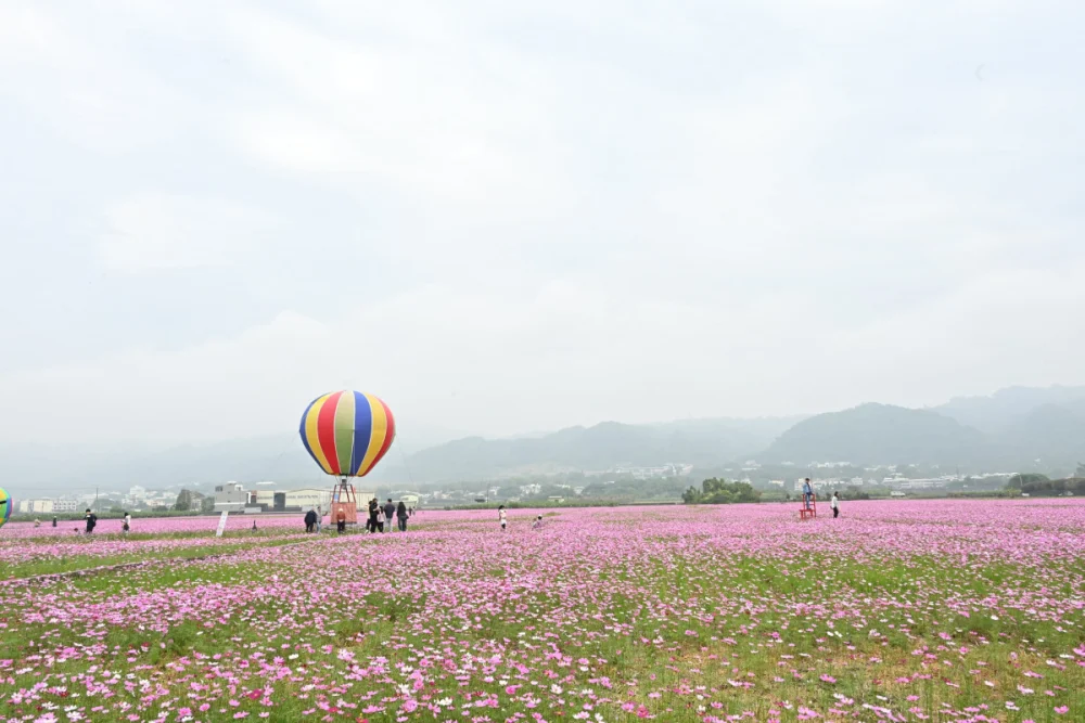 田中稻草藝術節現場。圖／記者鄧富珍翻攝