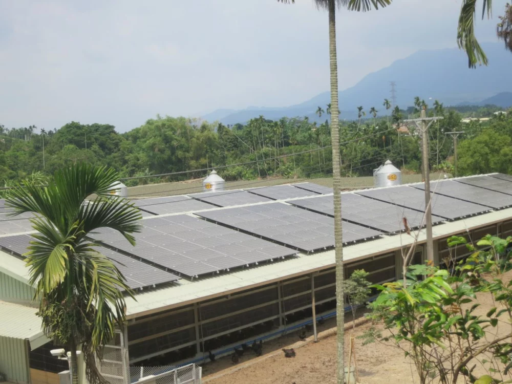 圖／勤億蛋品導入的負壓水簾式系統能使雞舍保持「負壓環境」，大幅降低病原亂流的風險。（勤億蛋品 提供）